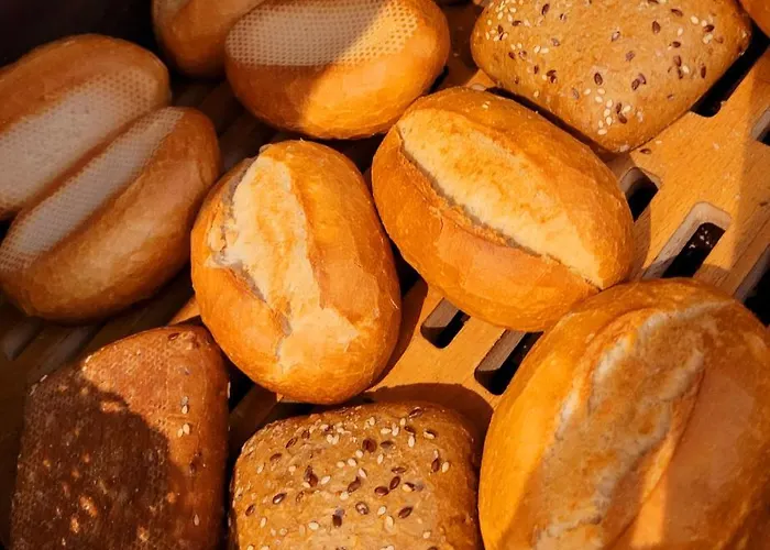 ホテル クリスティナ ケルン